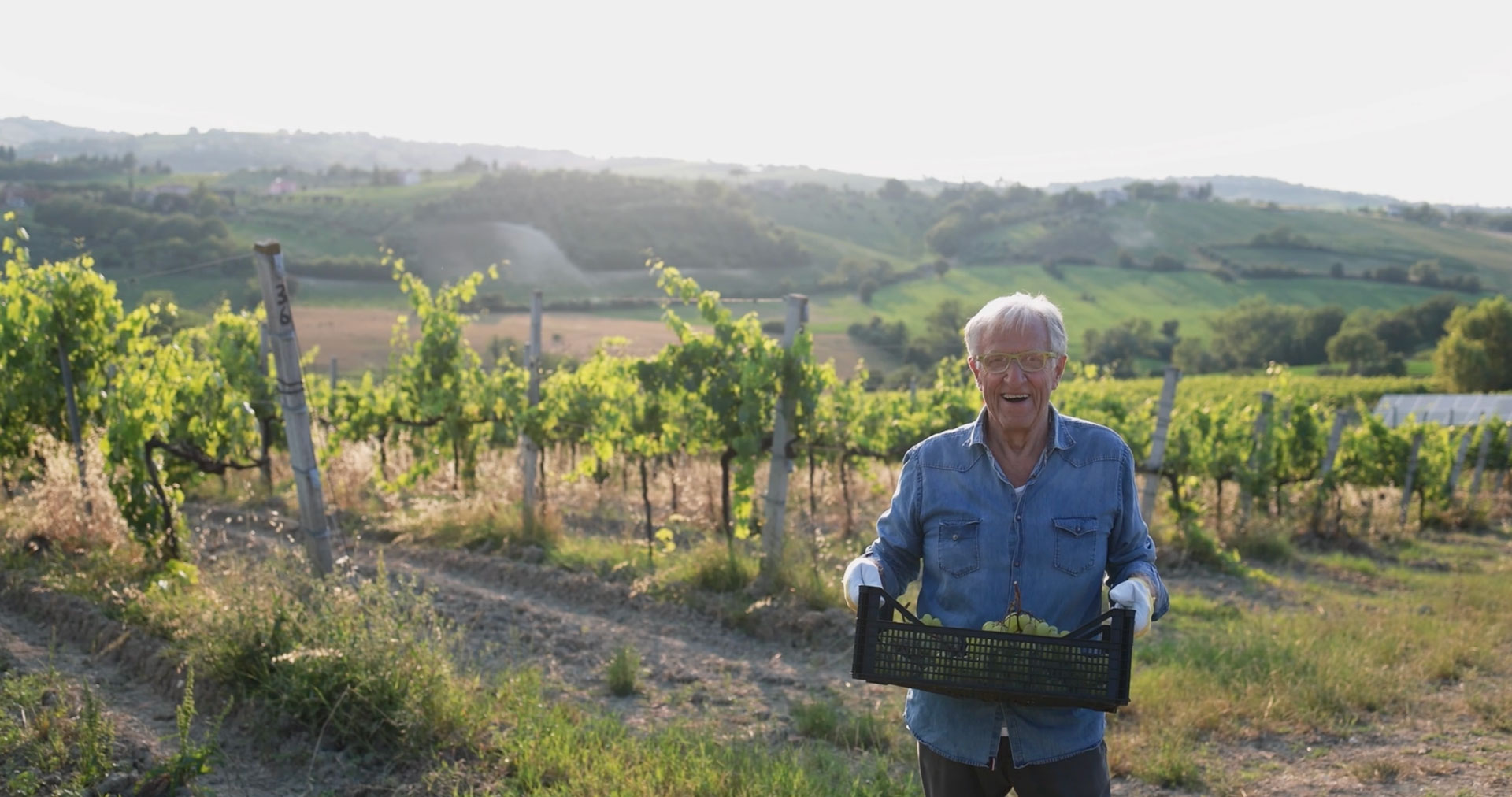 Man-in-vineyard-poster