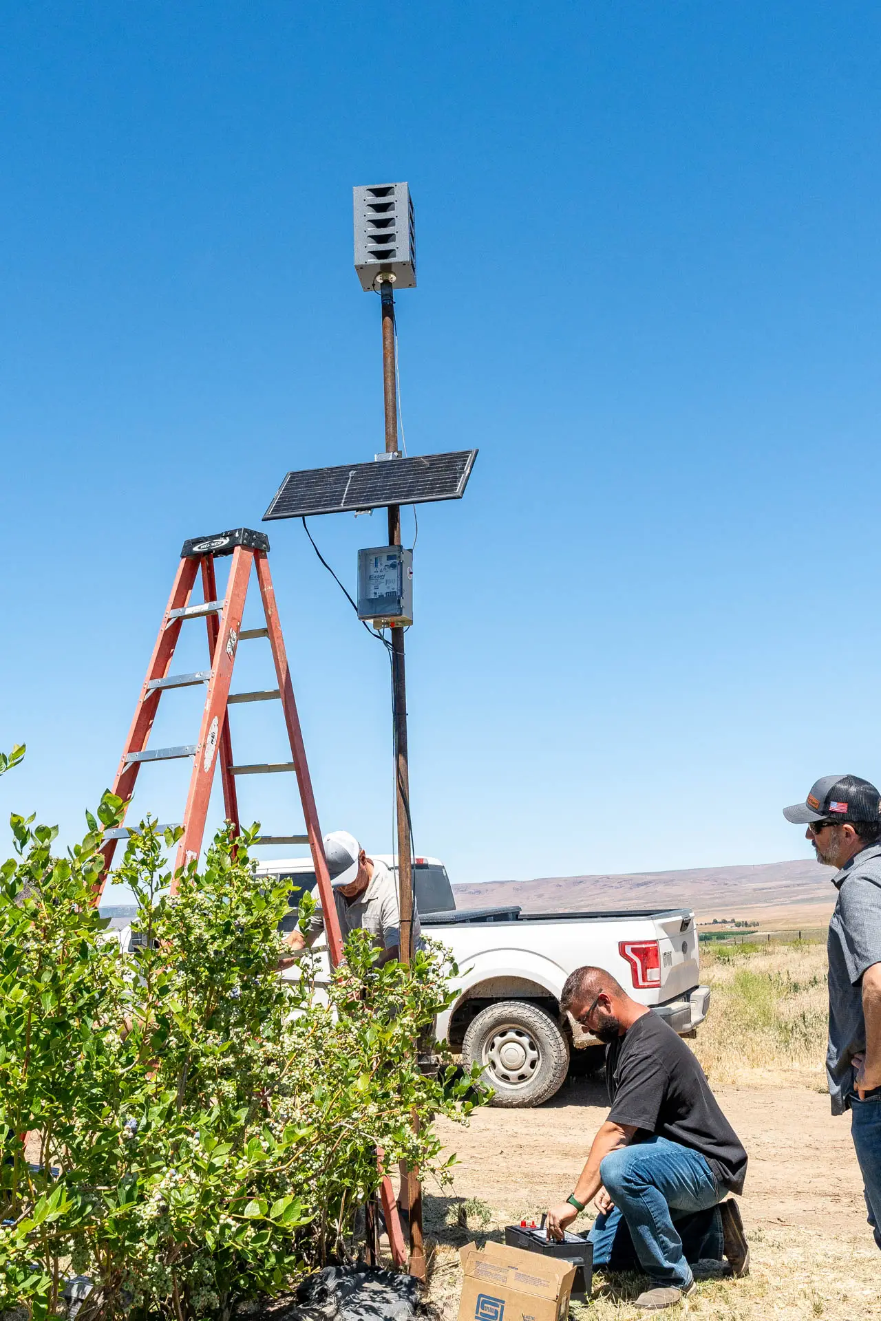 Sonic Hawk 500 deployed in a vineyard for bird damage reduction