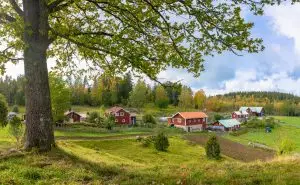 Farm House 3 300x185 1